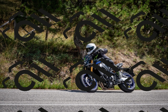 202509071254-DSC_3699_c2