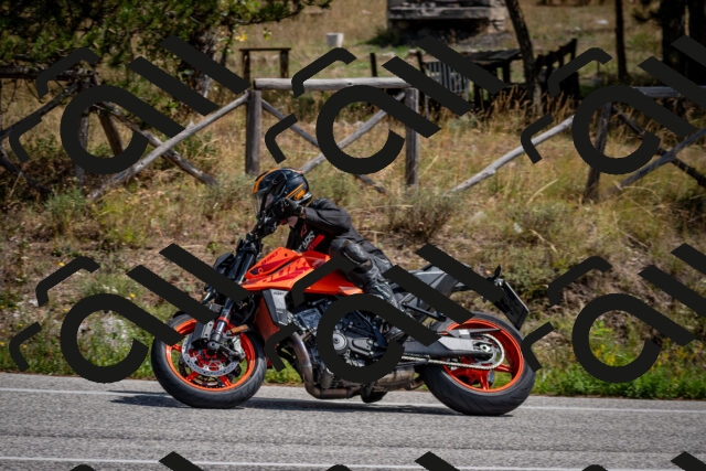 202509071254-DSC_3701_c2