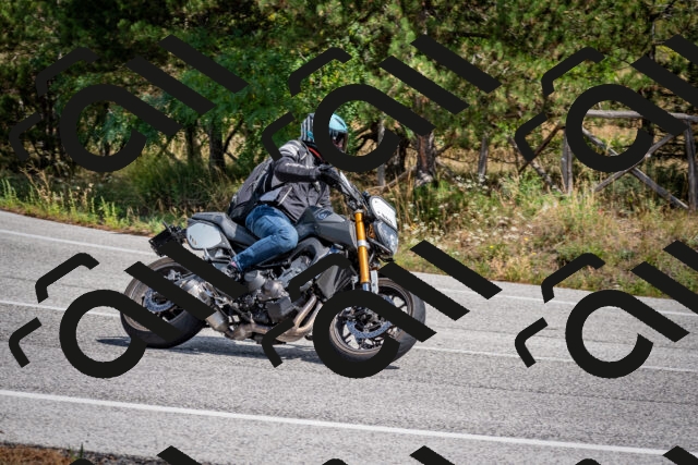 202509071254-DSC_3705_c2