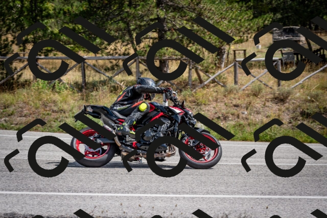 202509071255-DSC_3710_c2