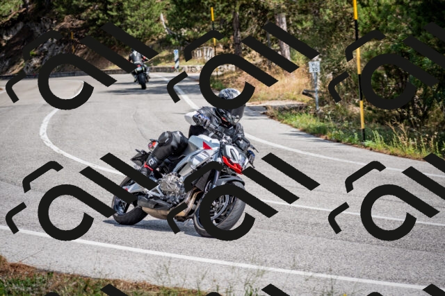 202509071255-DSC_3711_c2