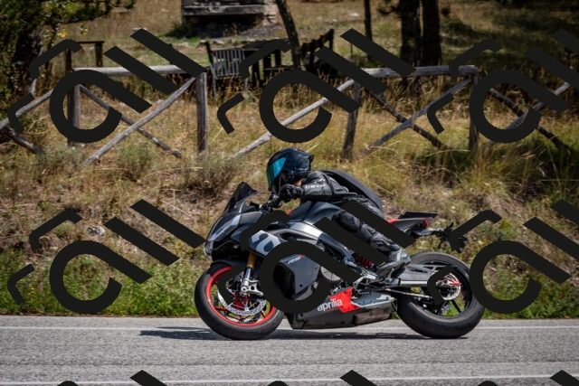 202509071255-DSC_3718_c2