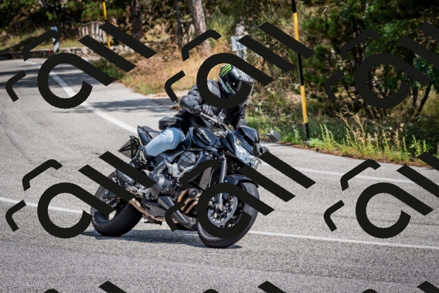 202509071255-DSC_3721_c2