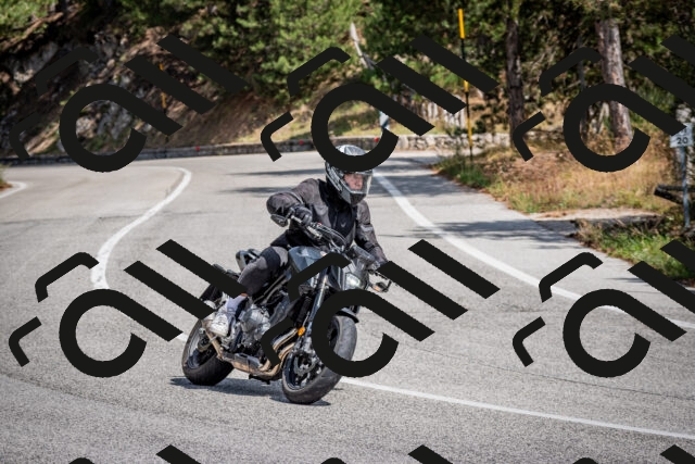 202509071257-DSC_3737_c2