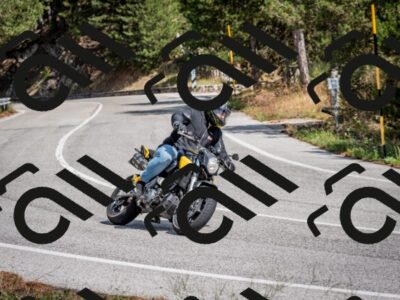 202509071257-DSC_3738_c2