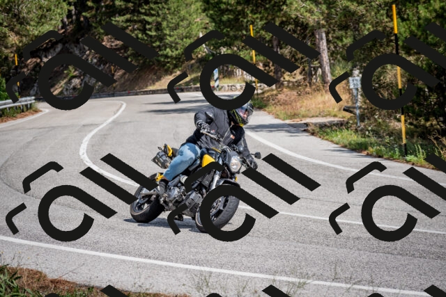 202509071257-DSC_3738_c2