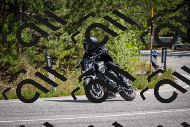 202509071258-DSC_3748_c2