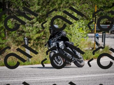 202509071258-DSC_3748_c2