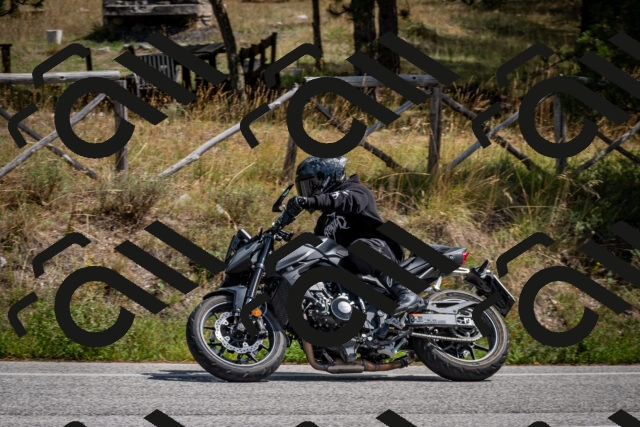 202509071258-DSC_3749_c2