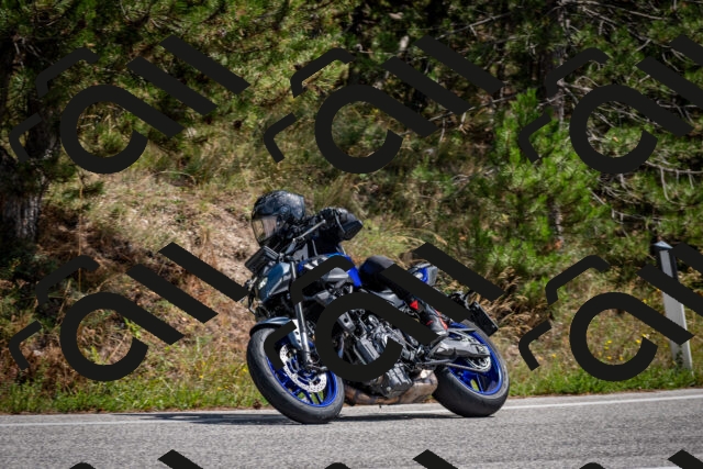 202509071258-DSC_3750_c2