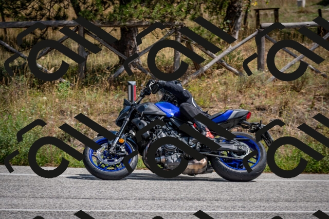 202509071258-DSC_3751_c2