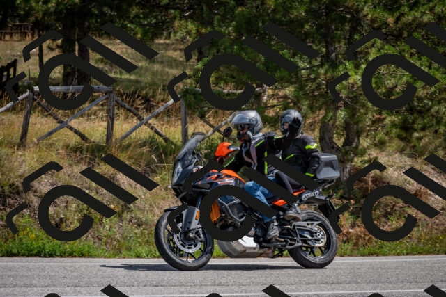 202509071259-DSC_3762_c2