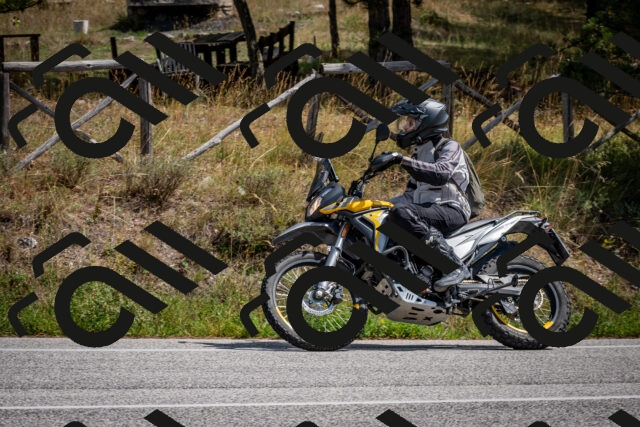 202509071259-DSC_3764_c2