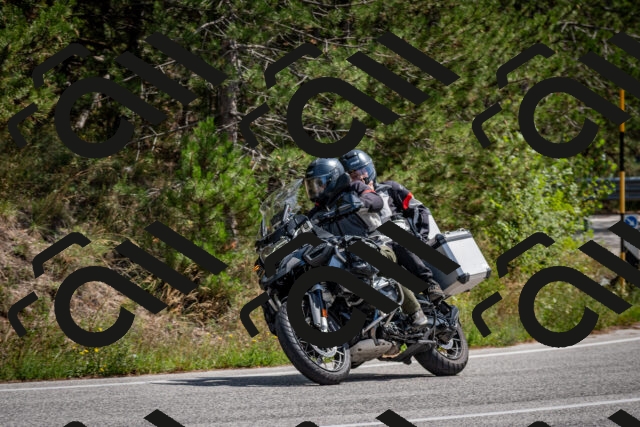 202509071300-DSC_3765_c2