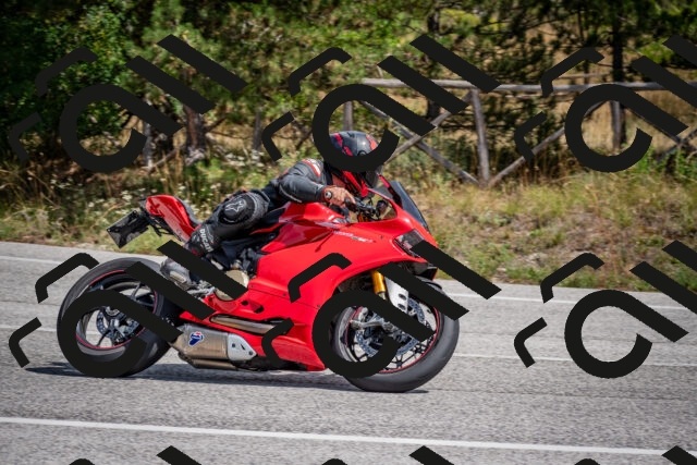 202509071300-DSC_3768_c2