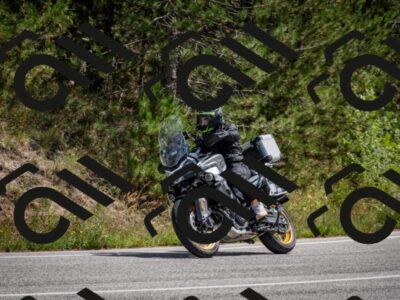 202509071300-DSC_3769_c2