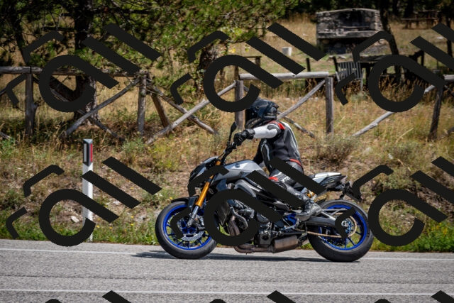 202509071300-DSC_3772_c2