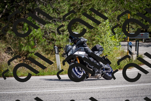 202509071301-DSC_3777_c2