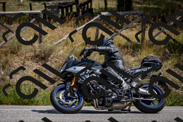 202509071301-DSC_3778_c2