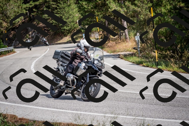 202509071301-DSC_3781_c2