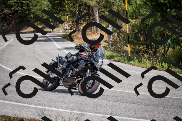 202509071301-DSC_3790_c2