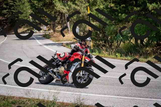 202509071301-DSC_3791_c2