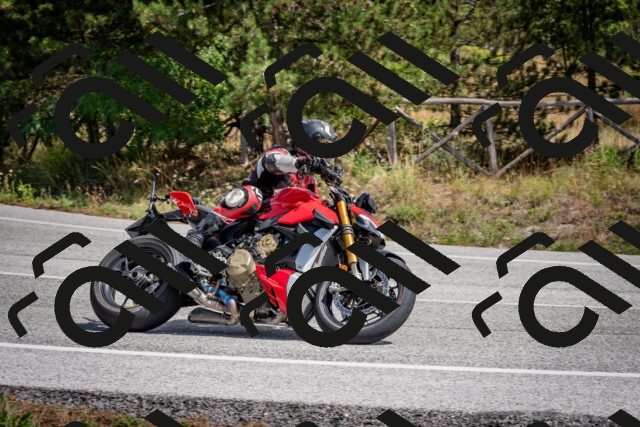 202509071301-DSC_3792_c2