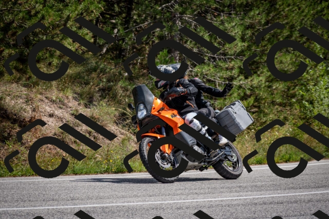 202509071304-DSC_3801_c2