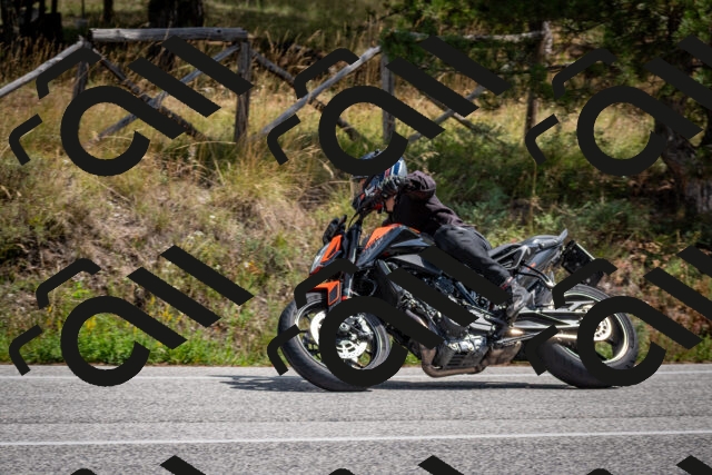 202509071305-DSC_3804_c2