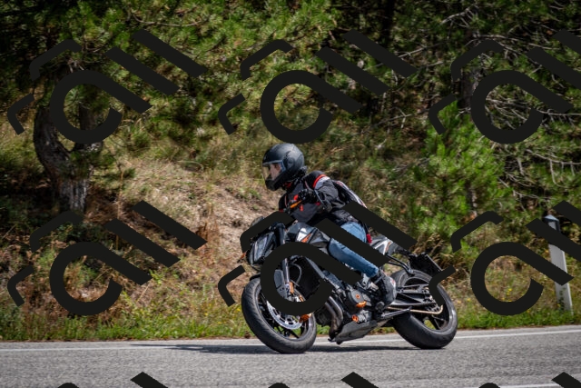 202509071306-DSC_3810_c2