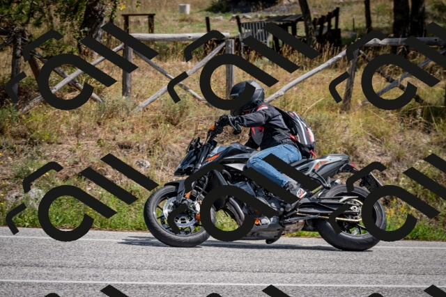 202509071306-DSC_3811_c2