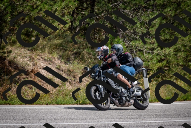 202509071306-DSC_3814_c2