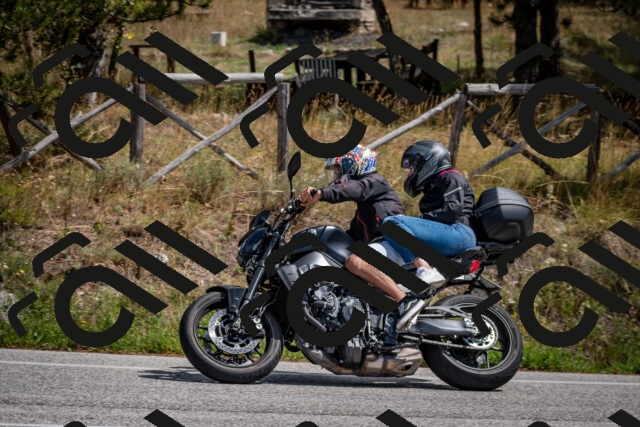 202509071306-DSC_3815_c2