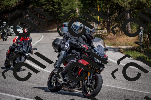 202509071306-DSC_3816_c2