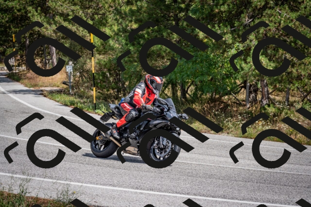 202509071306-DSC_3818_c2