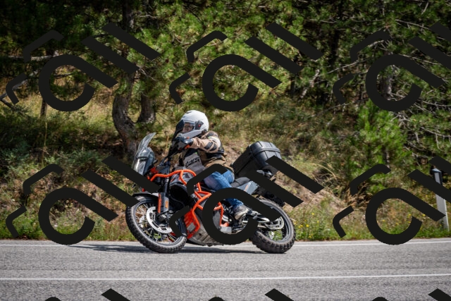 202509071308-DSC_3826_c2