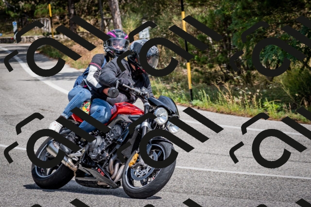 202509071308-DSC_3829_c2