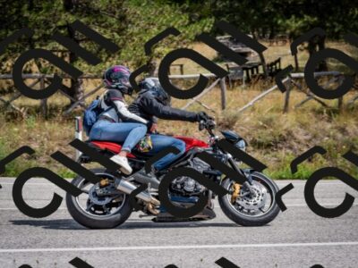 202509071308-DSC_3831_c2