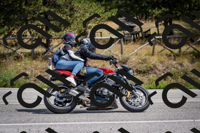 202509071308-DSC_3831_c2