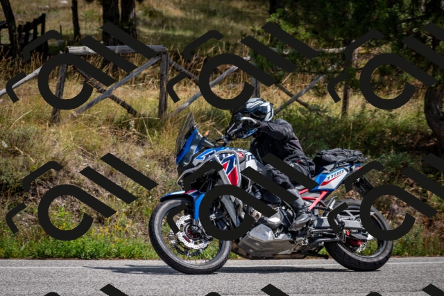 202509071308-DSC_3834_c2