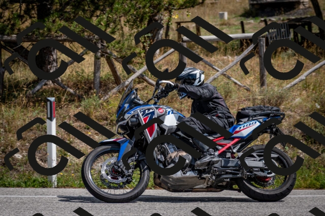 202509071308-DSC_3835_c2