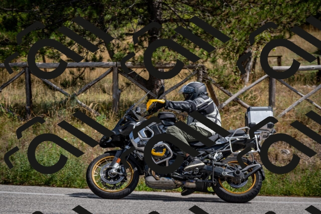 202509071308-DSC_3839_c2