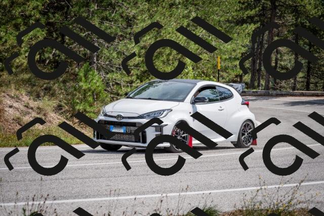 202509071308-DSC_3840_c2