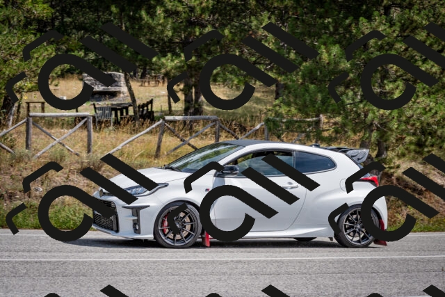 202509071308-DSC_3841_c2