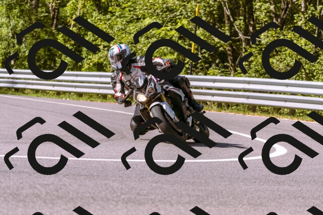 202509071037-_DSC8909_d1_