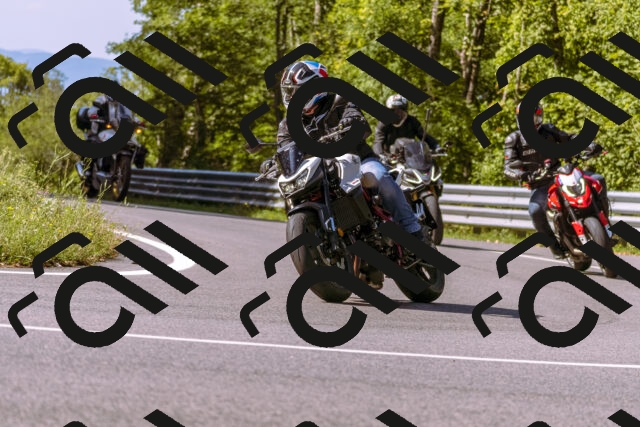 202509071037-_DSC8912_d1_