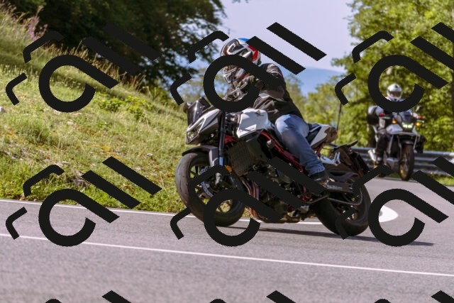 202509071037-_DSC8913_d1_