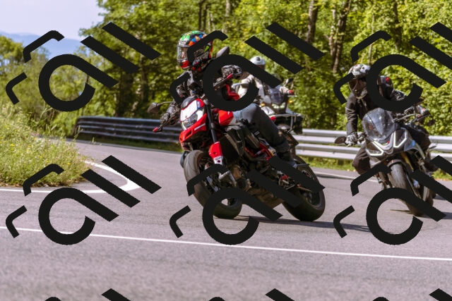 202509071037-_DSC8914_d1_