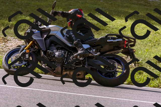 202509071040-_DSC8935_d1_