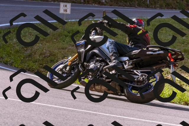 202509071040-_DSC8936_d1_